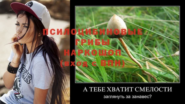 прущие крисы Абаза