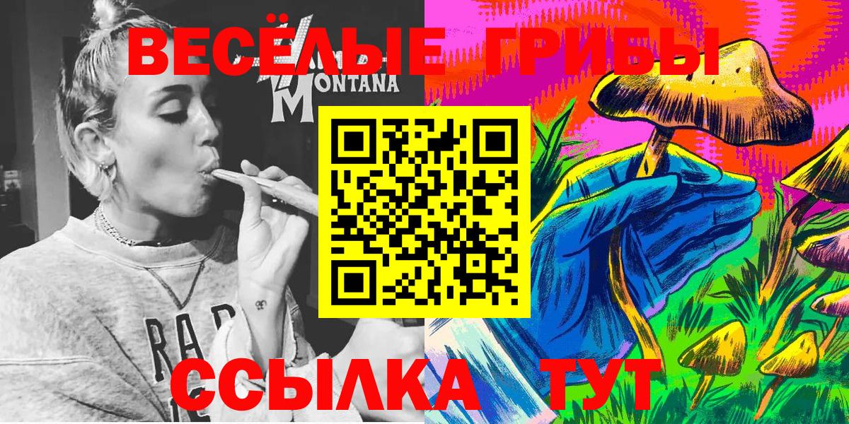 где купить наркотик  Вход с VPN  Саянск  Псилоцибиновые грибы GOLDEN TEACHER 