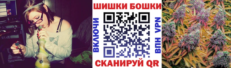 Бошки Шишки планчик Саянск